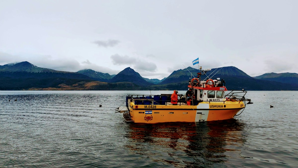 Deep-Sea Expedition Reveals 57 New Marine Species in Argentine Waters