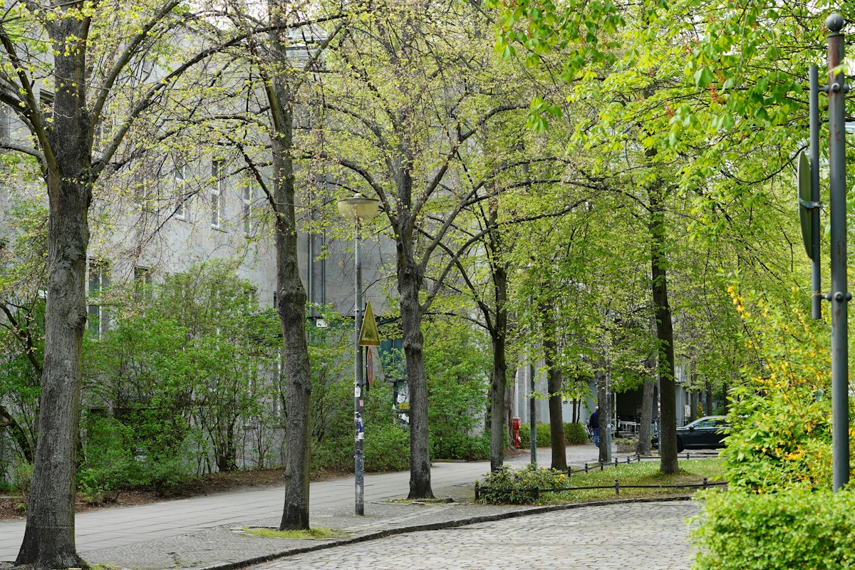 Berliners Adopt Local Street Trees Thanks to Interactive Mapping Project