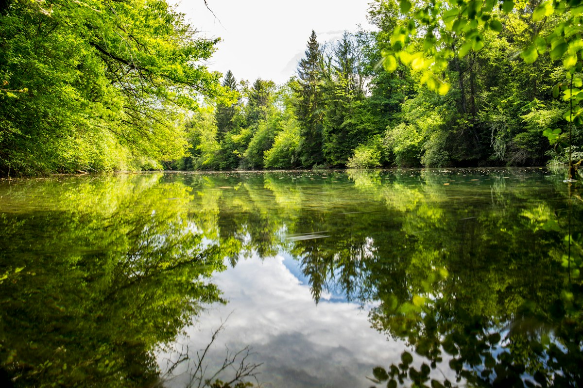 Pond Water Discovery Reveals an Unexpected Twist in the Rules of Genetics