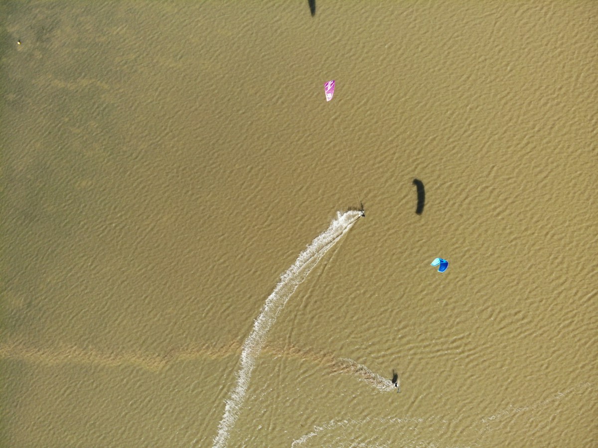 Clever Floating Scarecrows and Kites Protect Cornish Seabirds with Remarkable Success