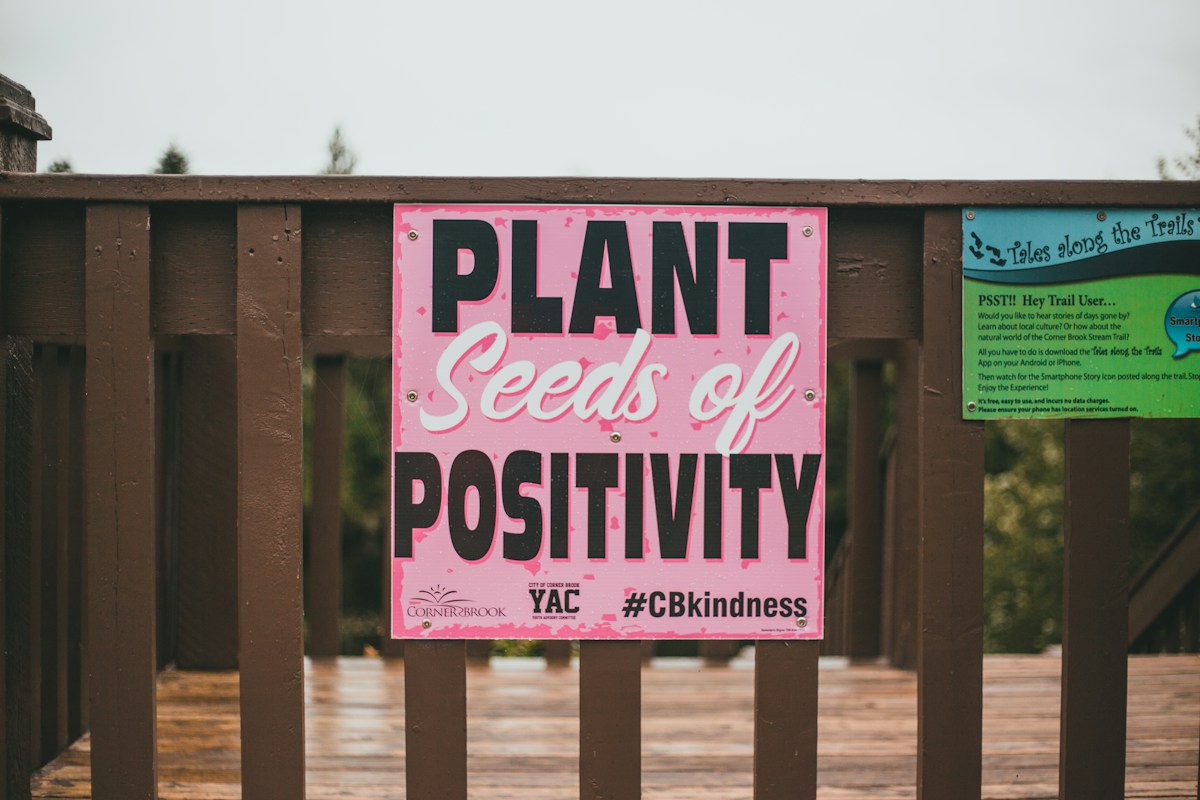 Weekly Positive News Highlights Wildlife Protection and Local Community Successes