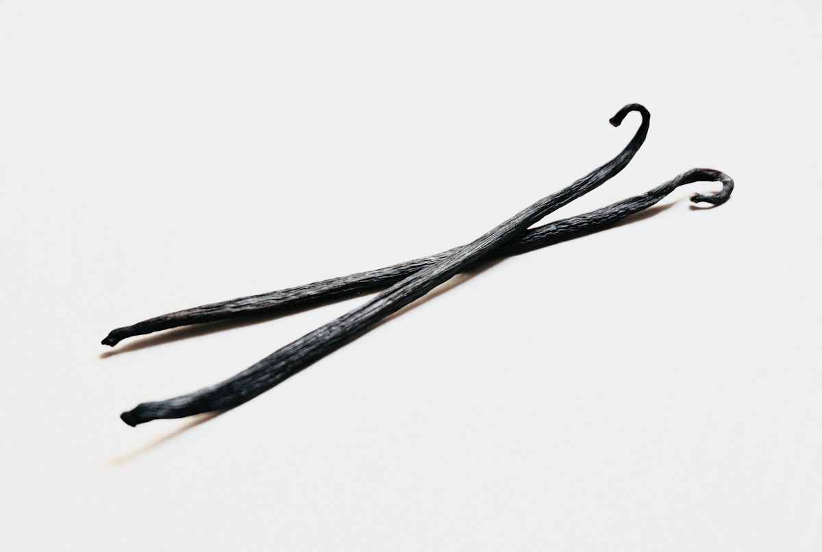Everyday Vanilla Compound Shows Powerful Potential for Healing and Medicine
