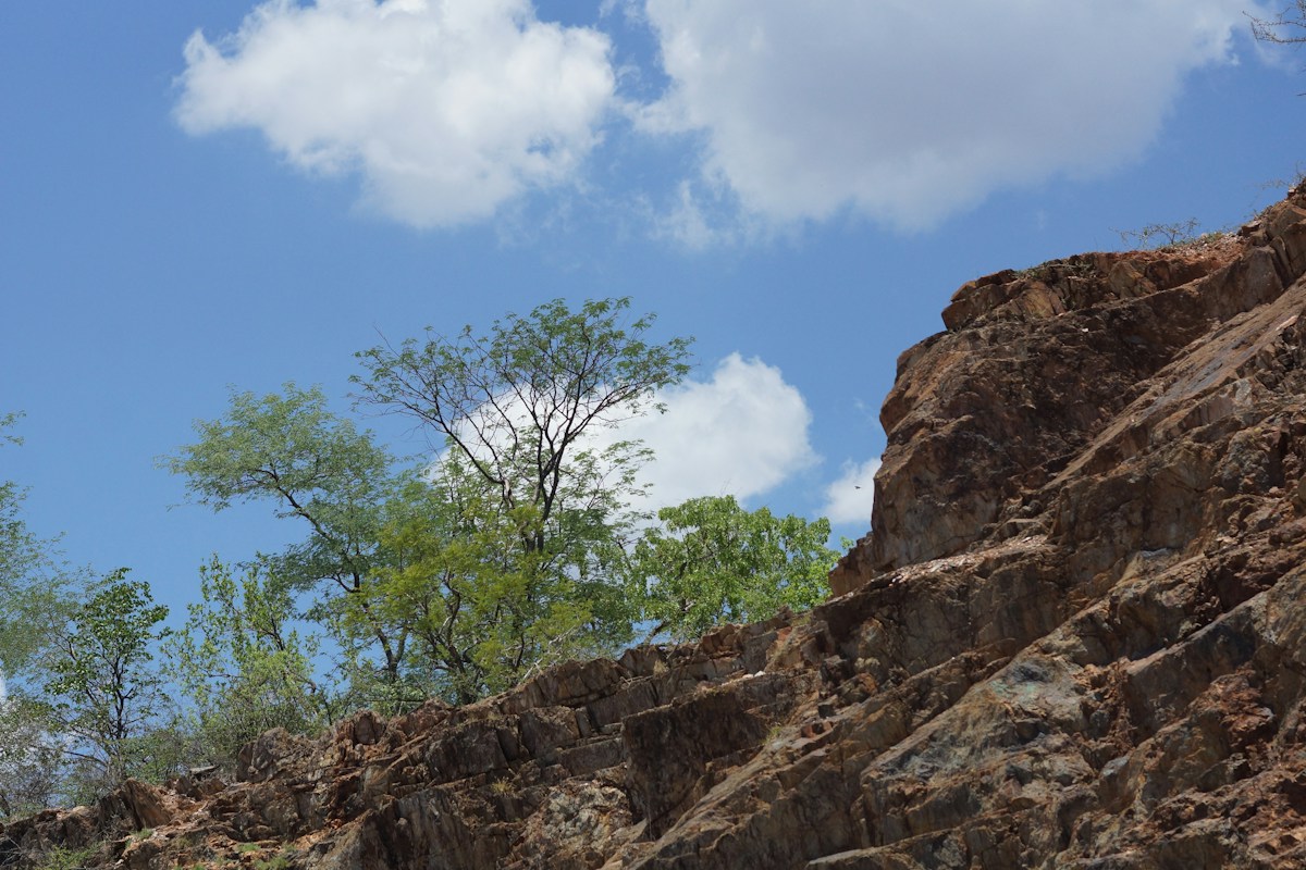 Fossil Discovery in Zimbabwe Unlocks New Insights Into Ancient African Ecosystems