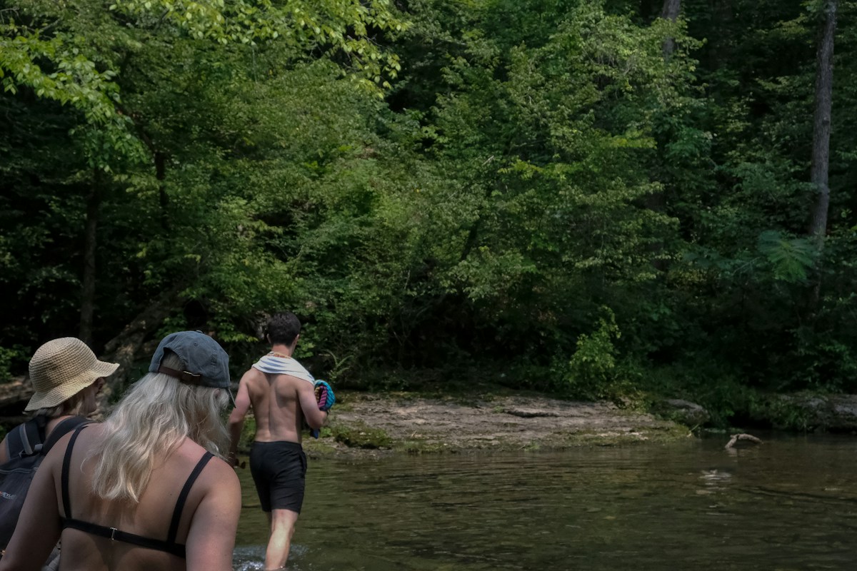 Nationwide Search Uncovers Record-Breaking Crayfish in Tennessee, Advancing Freshwater Biology