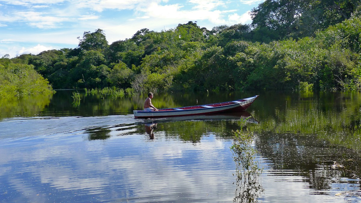 Brazilian Amazon Deforestation Drops to Historic Low Following Major Decline