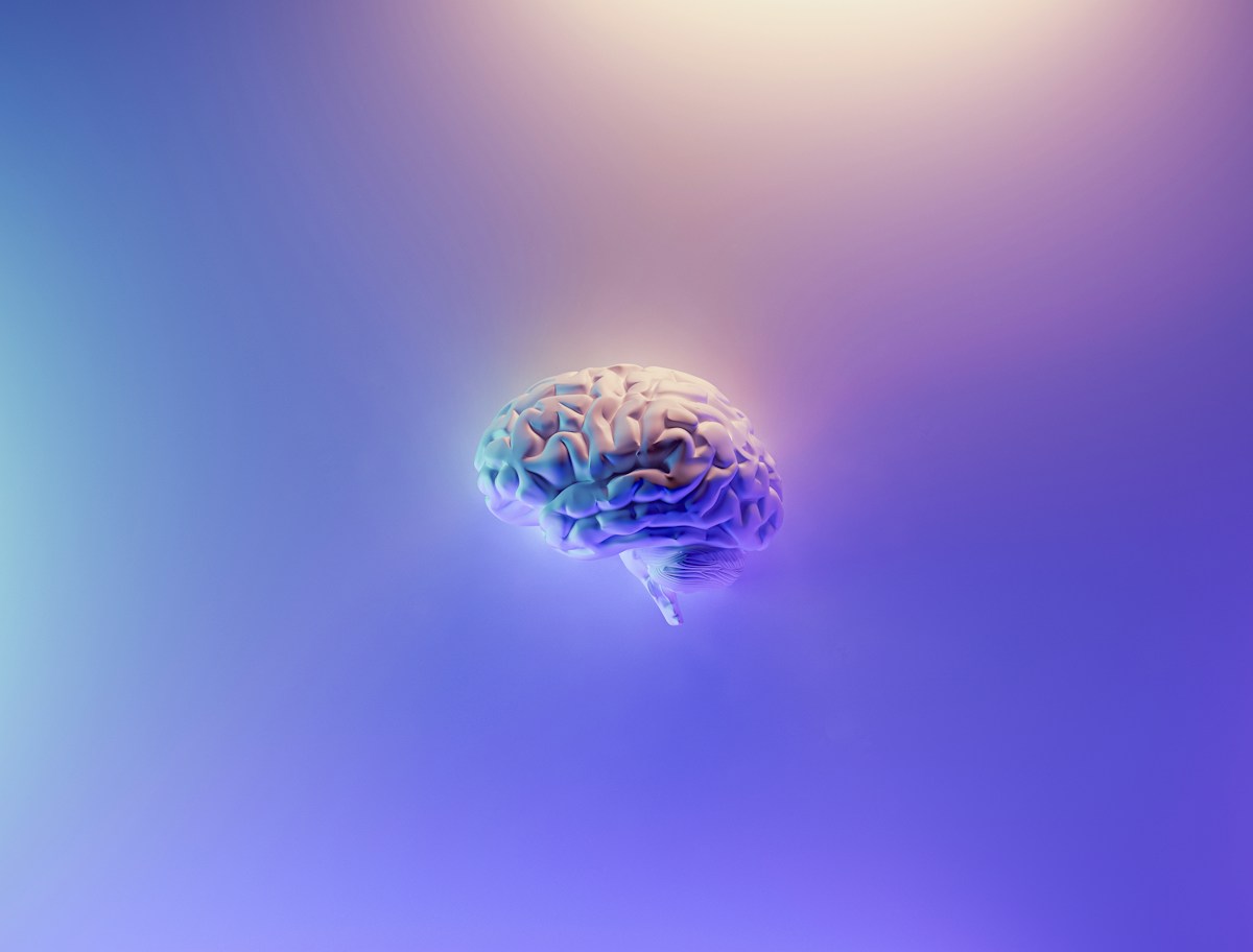 How the Aging Brain May Trade Fine Detail for Greater Wisdom