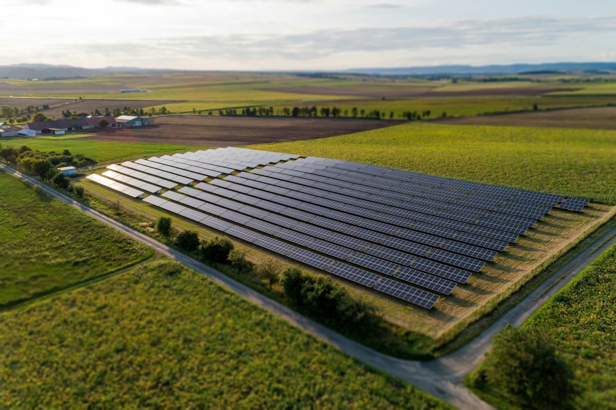 New Certification Scheme Turns Solar Farms Into Thriving Wildlife Havens
