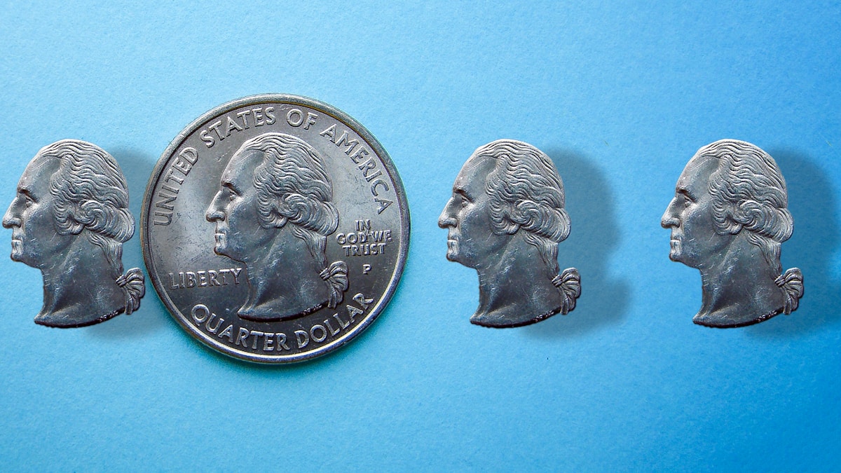 Scientists Discover Platypuses Are Even Weirder Than We Thought!