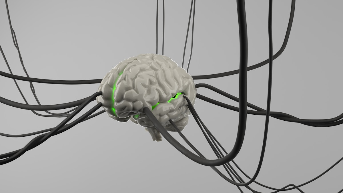 Scientists Discover Brain's Secret Wiring Map Using Tiny Code Labels