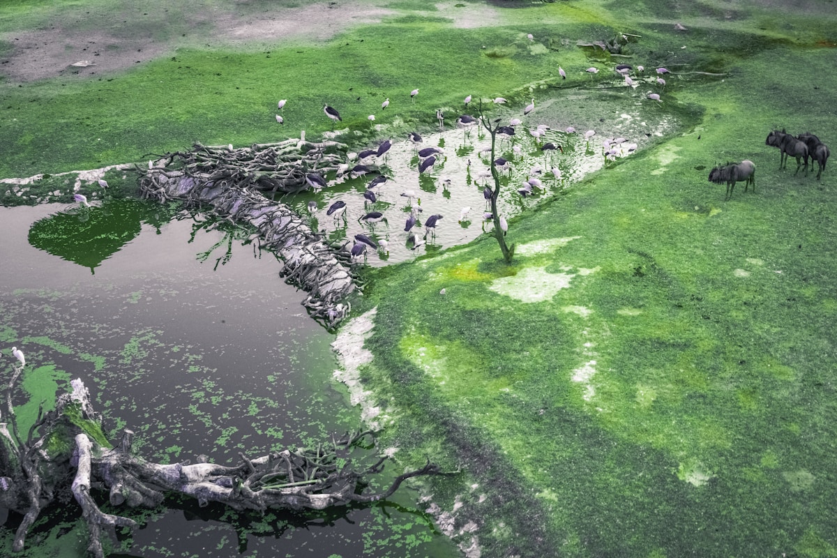 Scientists Find Amazing 'Lost World' With Animals From 540 Million Years Ago