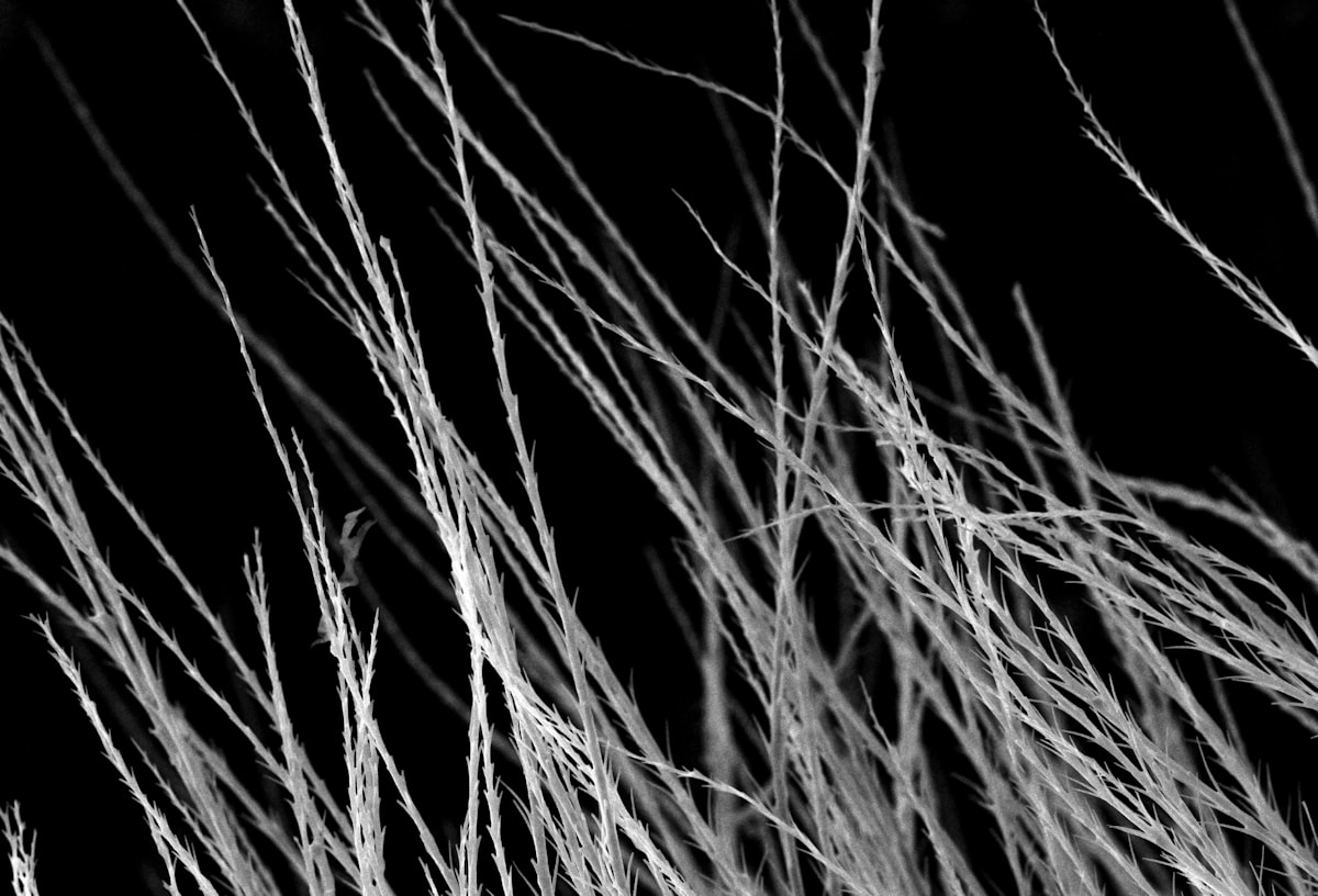 Scientists Trap Light in a Super-Thin Layer 1,000 Times Smaller Than Hair