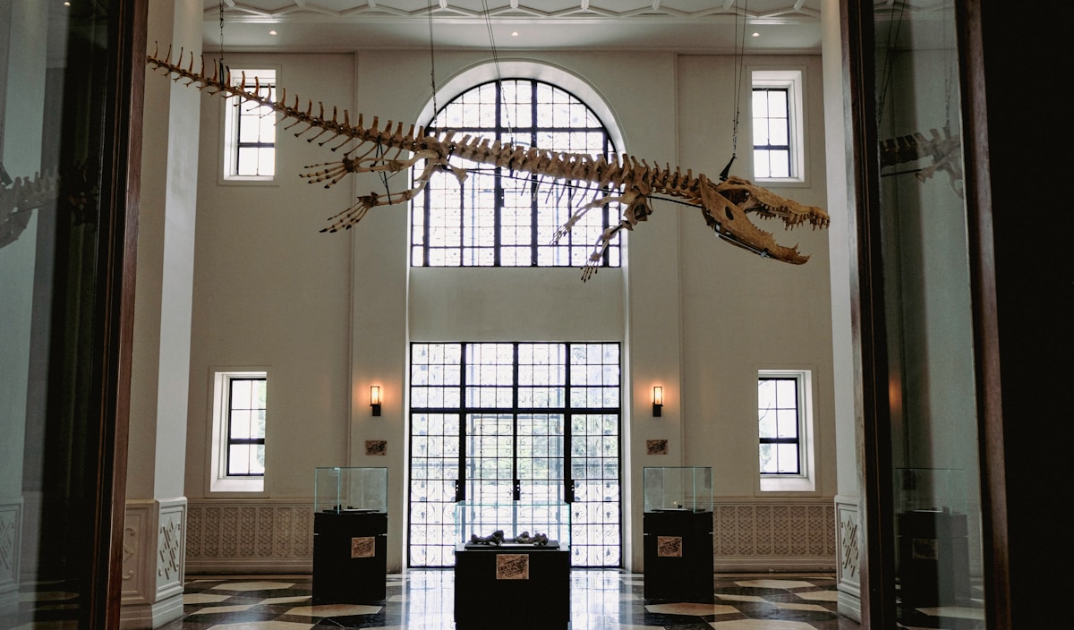 Meet Deinosuchus: The Bus-Sized Dinosaur Hunter Back From 75 Million Years Ago