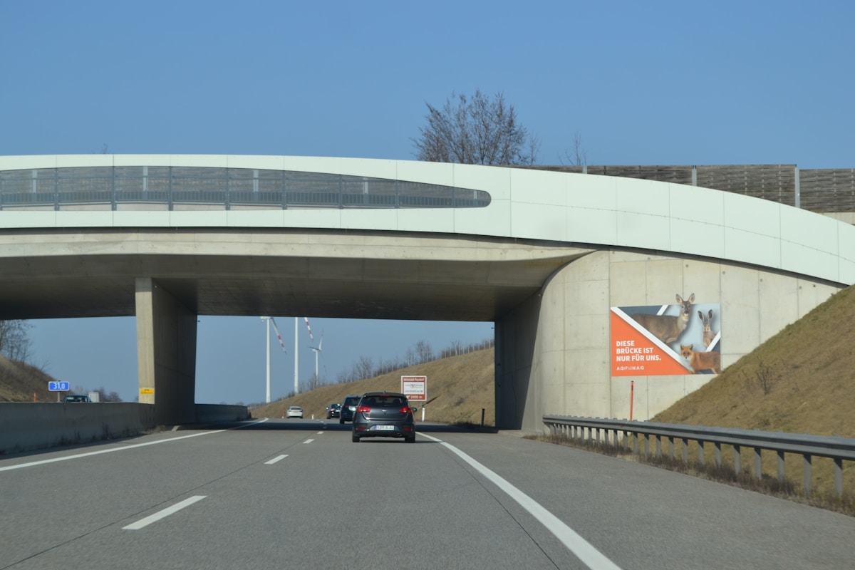 Secret Animal Highways Built Under Roads Are Saving Lives!
