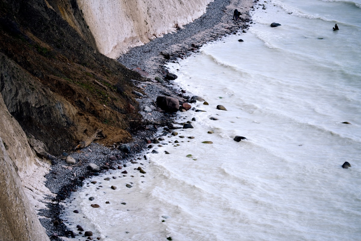 Ancient Dinosaur Footprints Found After 132 Million Years!