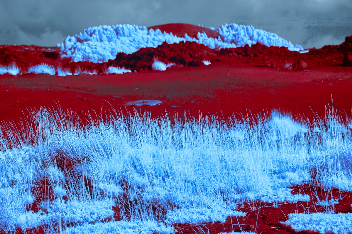 Curiosity Robot Finds Never-Before-Seen Molecules on Mars!