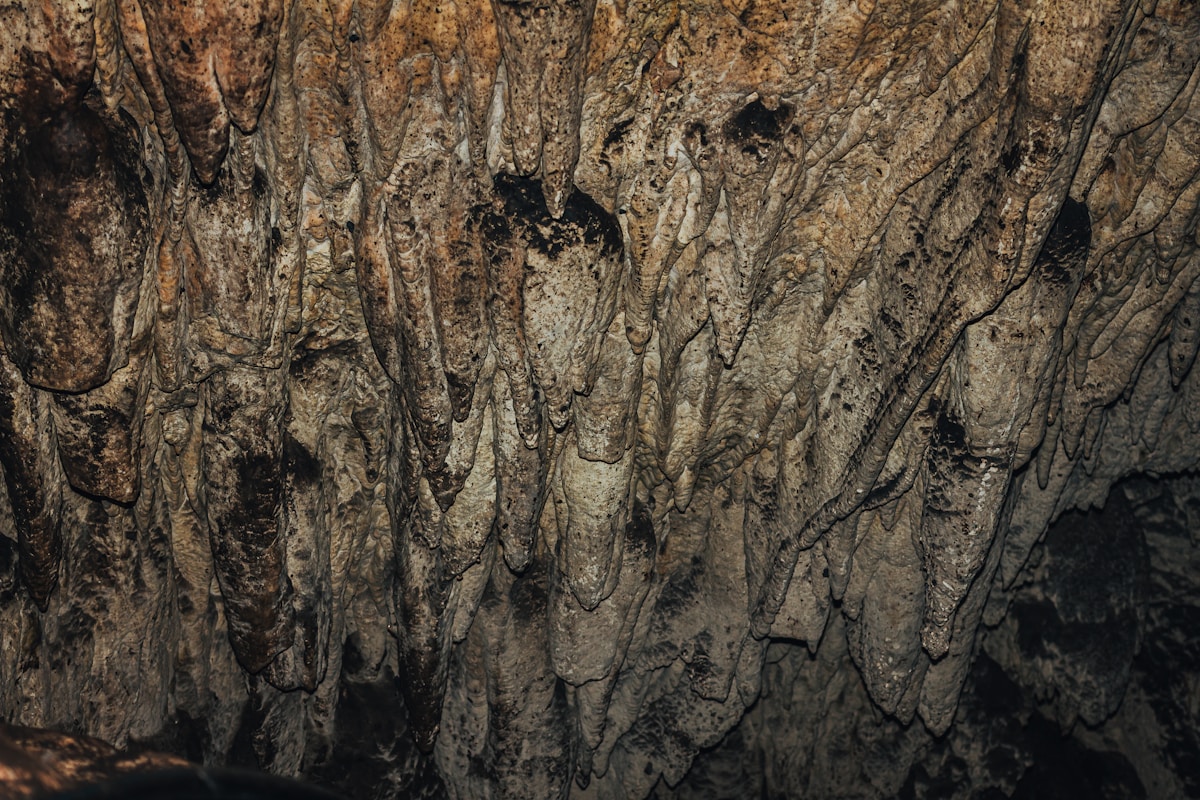 Why Neanderthals Disappeared: The Mystery Finally Solved!