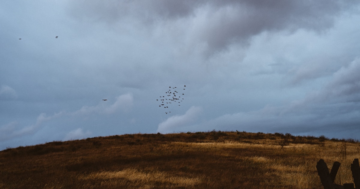 Billions of Insects Flying Above Your Head Right Now!
