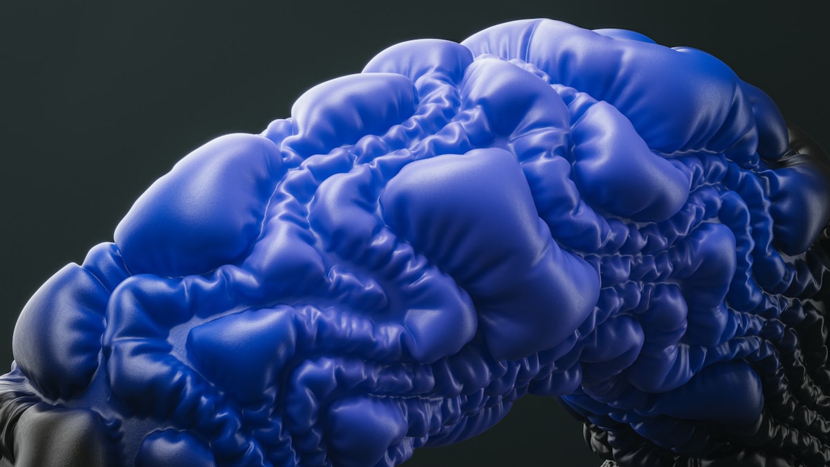 Your Muscles Just Got Even Cooler—They Clean Your Brain!