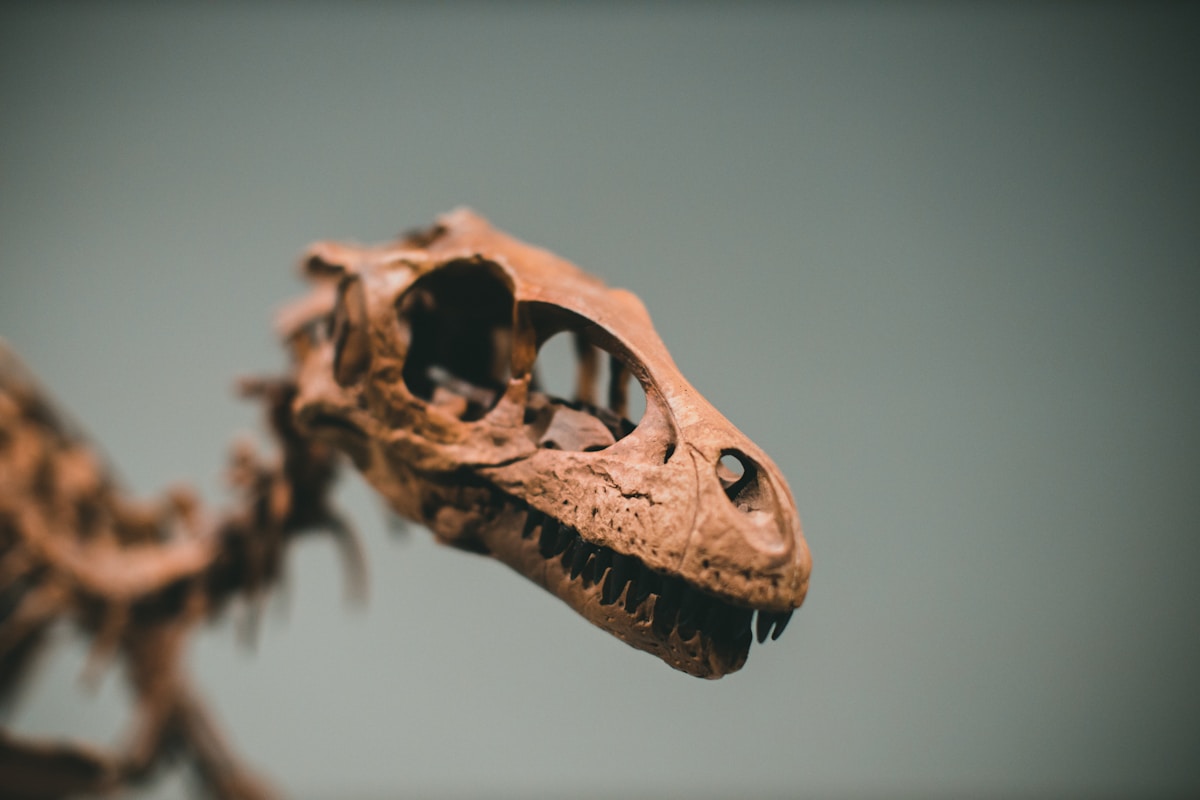 T-Rex Might Have Been Way Smarter Than We Thought!
