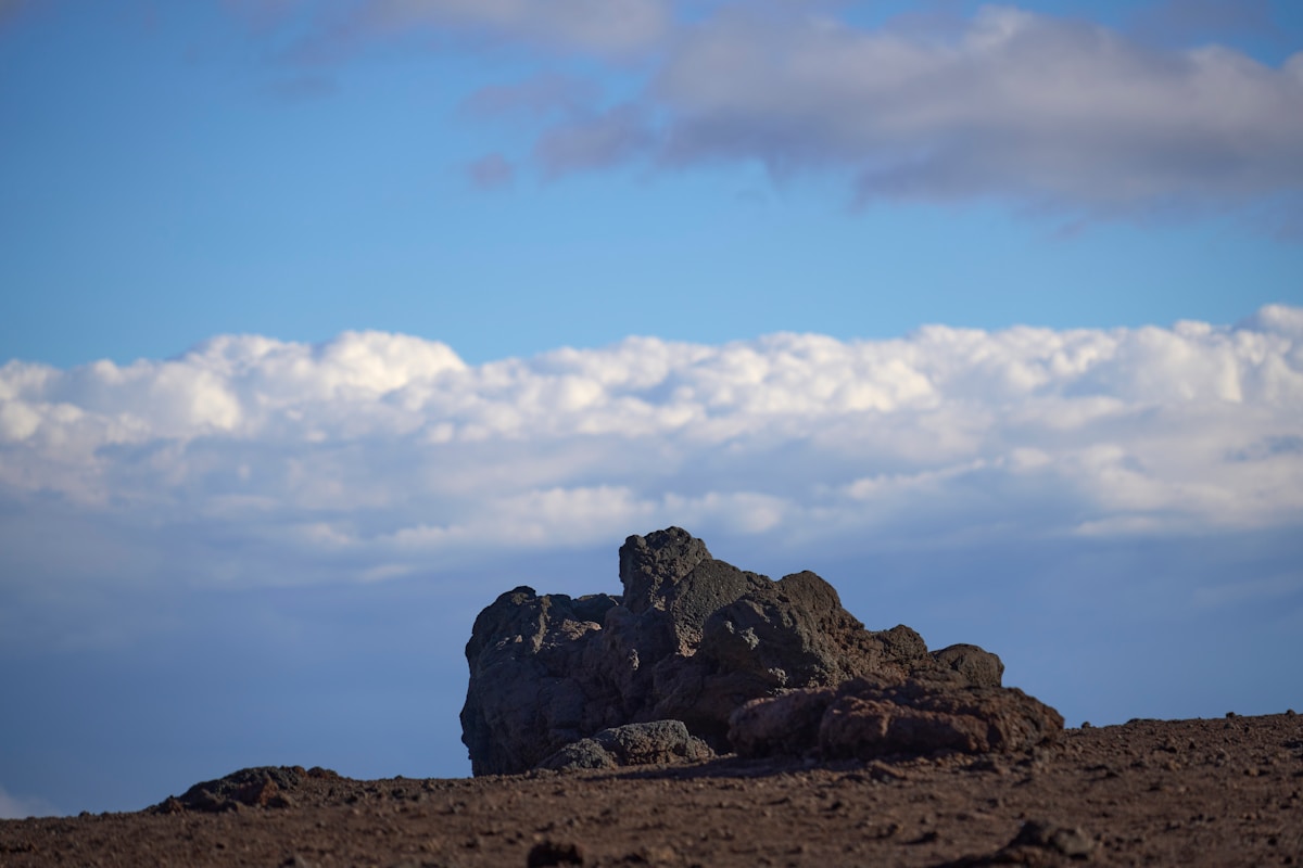 Giant Tortoises Return Home After 200 Years Away!
