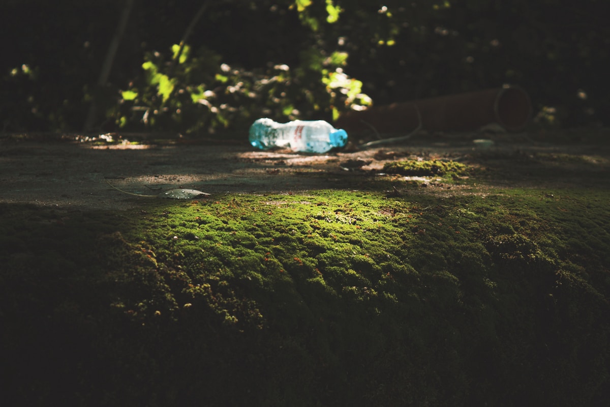 Sunlight Turns Plastic Trash Into Clean Energy!