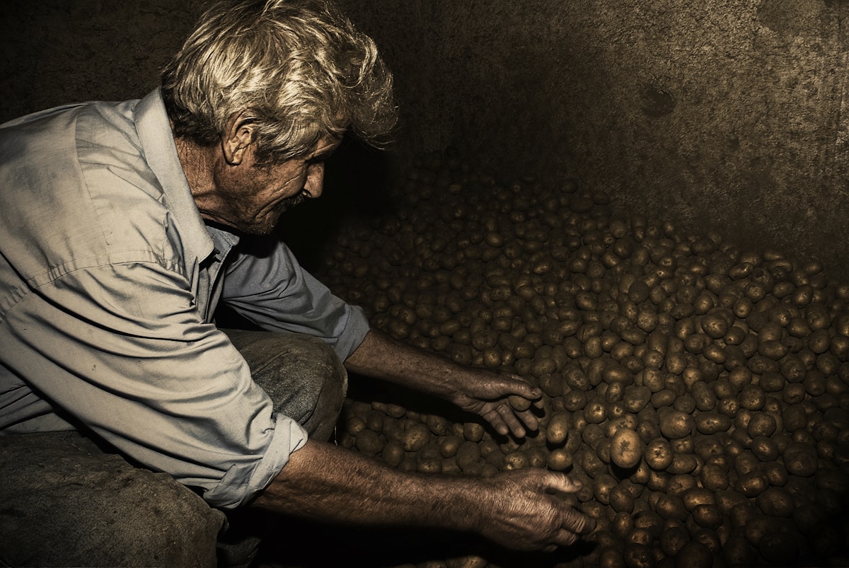 100 Dinosaur Eggs Found Hidden in France for 72 Million Years!