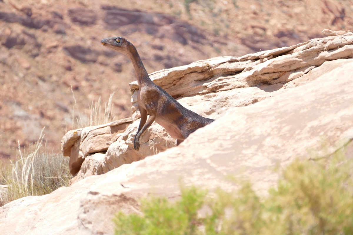Meet Bicharracosaurus: The Mixed-Up Dinosaur That Rewrites History