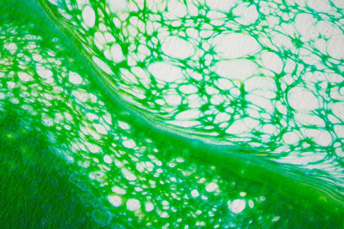 Meet the Algae That Sucks Up Invisible Plastic From Your Water