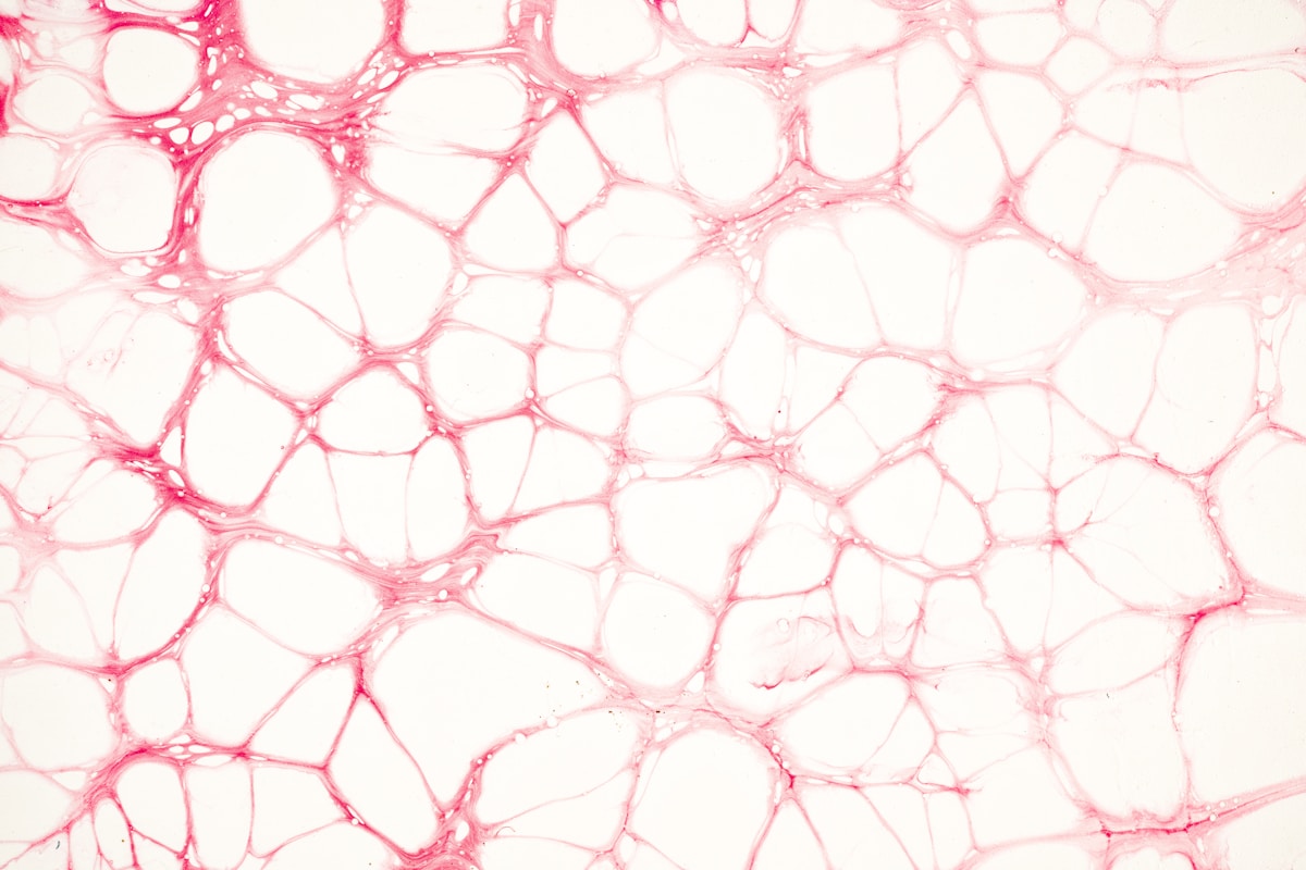 Scientists Turn Back Time on Old Blood Cells – They Work Like New!
