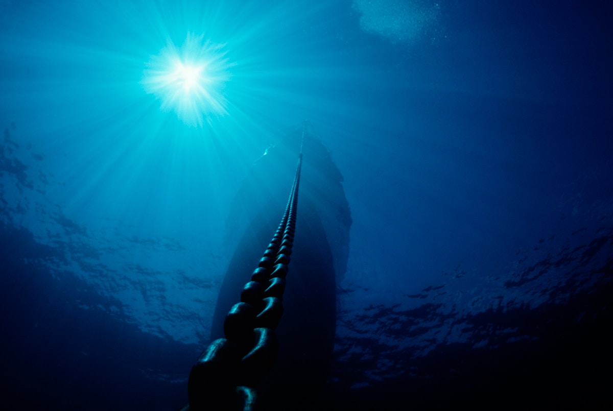 Deep-Sea Mystery Solved: Giant Squid Found Near Australia!