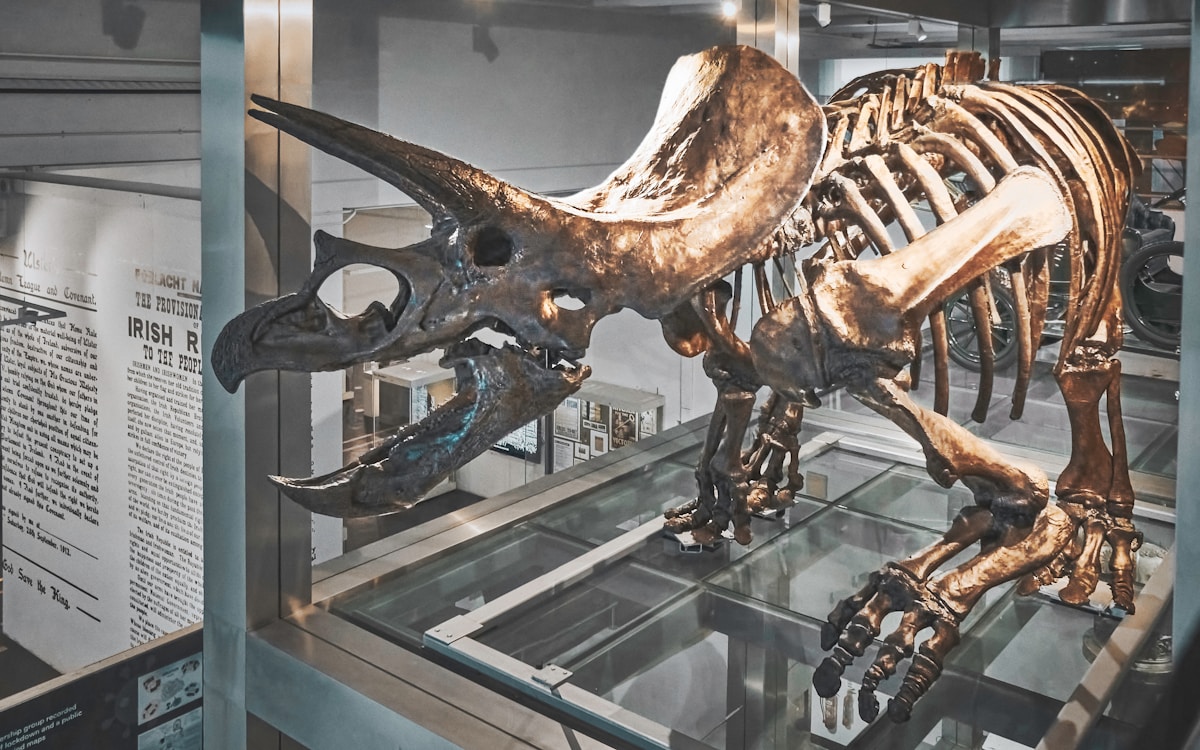 Dinosaur Bones Still Have Real Protein Inside After 66 Million Years!