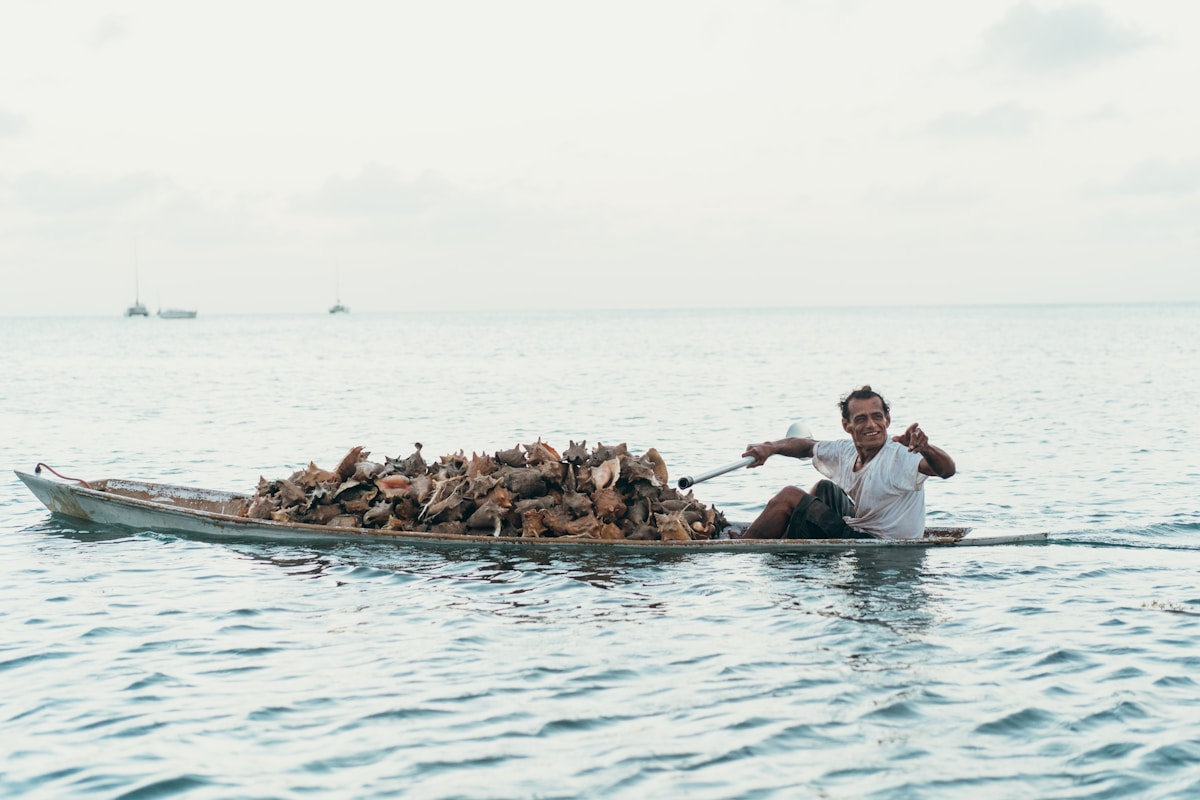 Meet the Monk with 12 Dogs on a Boat Bringing Joy to Thailand