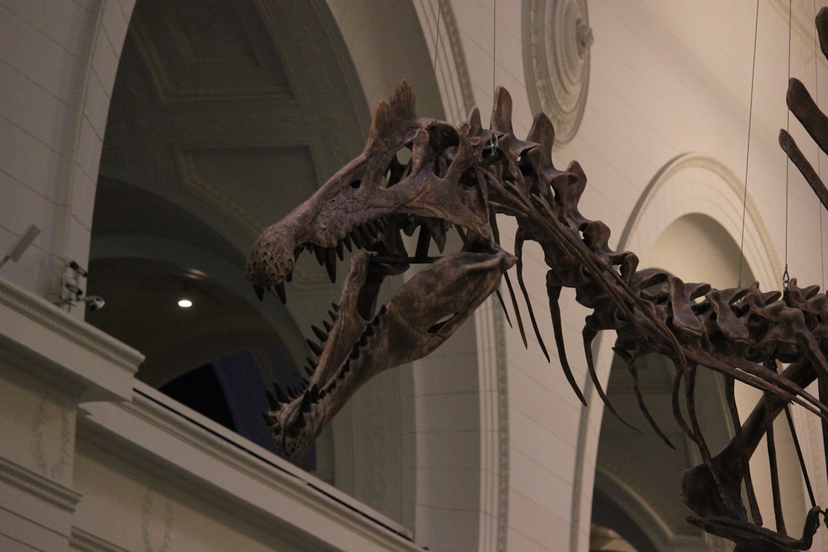 Giant 'Last Titan' Dinosaur Found in Thailand — Biggest Ever!