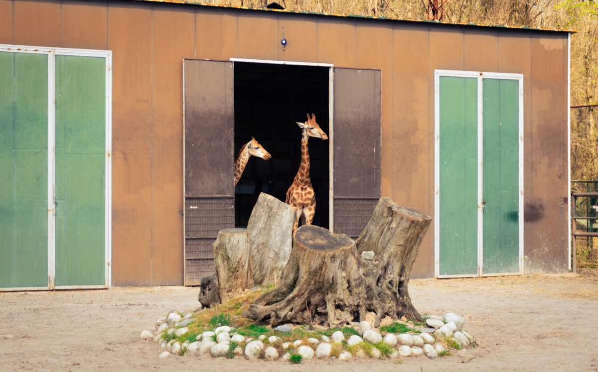 Zoo Keeper For a Day: One Kid's Wild Adventure at London Zoo