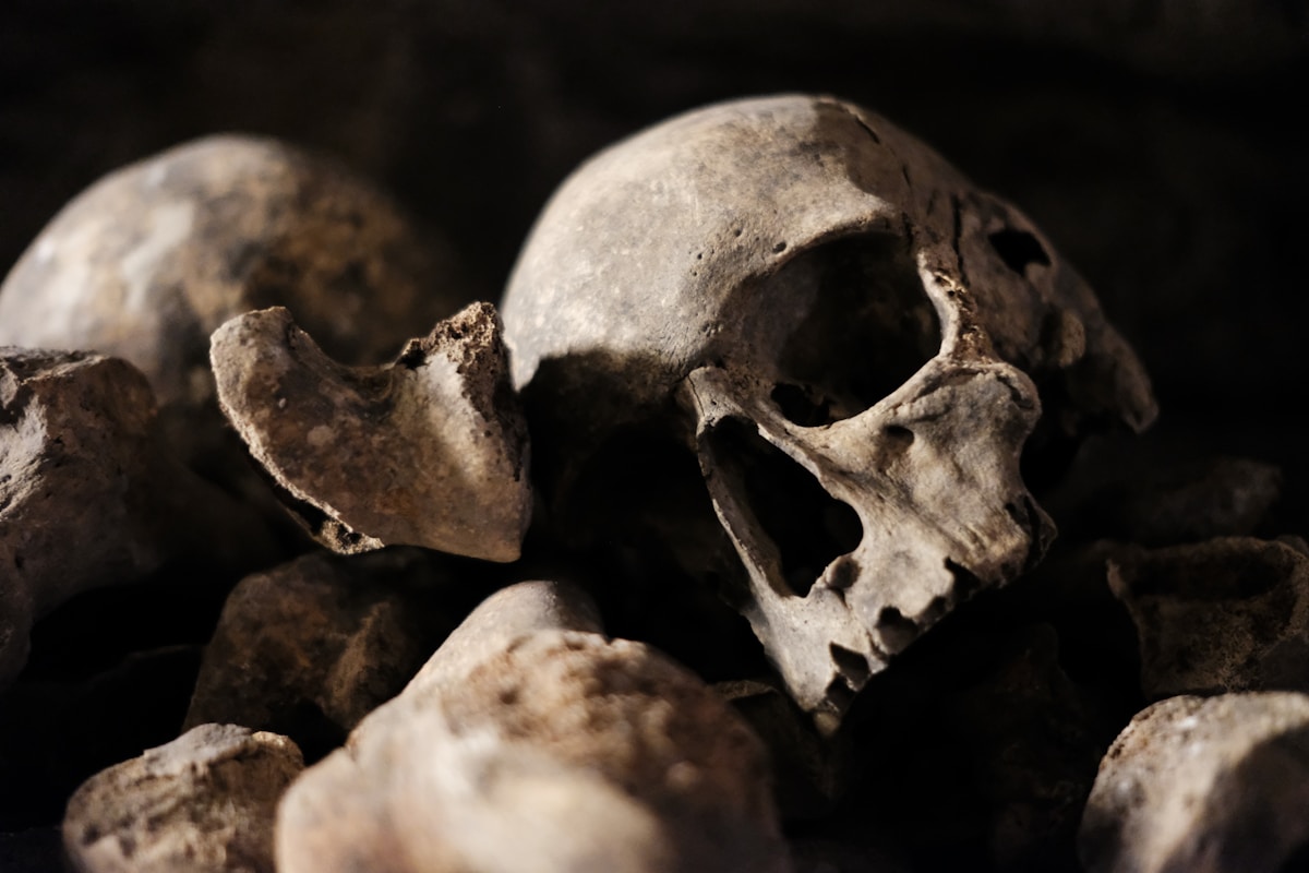 Ancient Human Cousins Lived Together Millions of Years Ago!