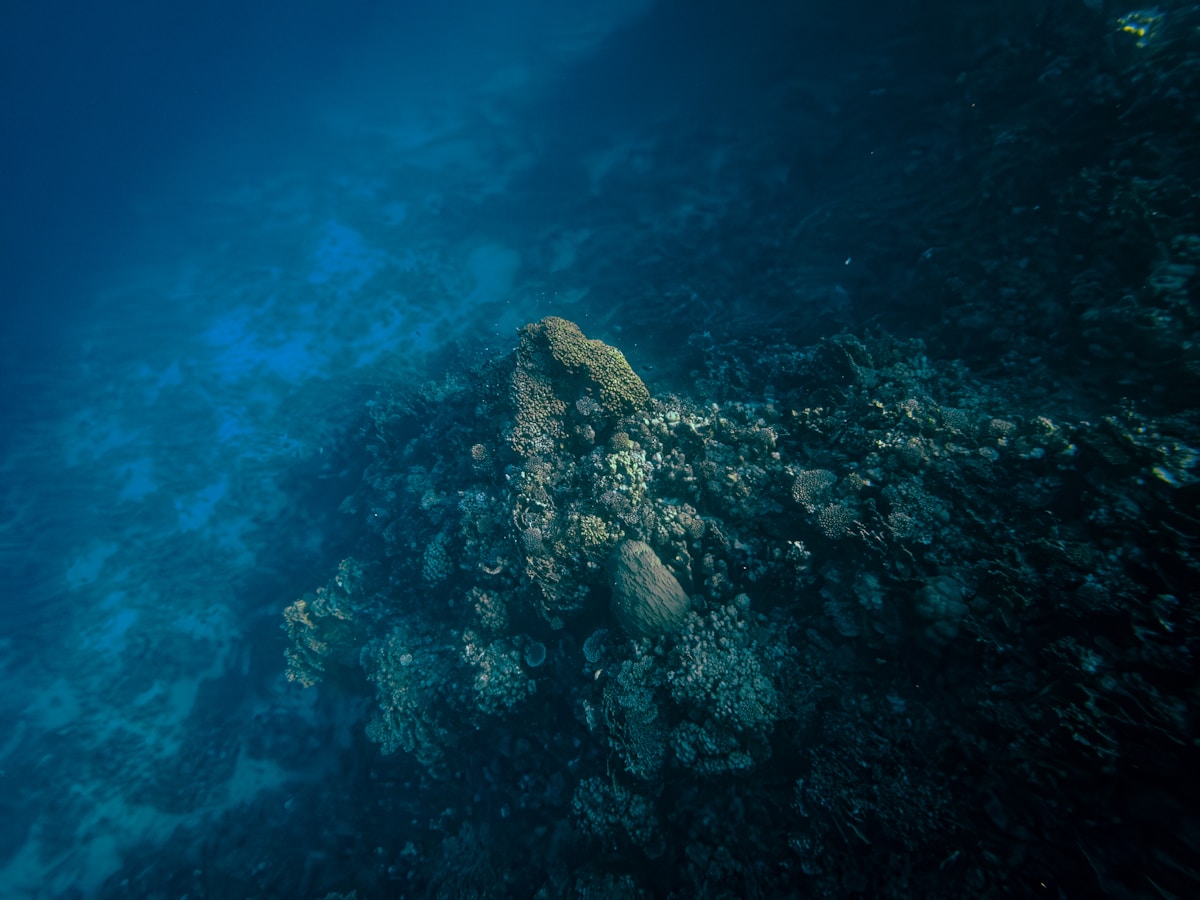 Hidden Underwater Brakes Stop Giant Earthquakes from Getting Worse