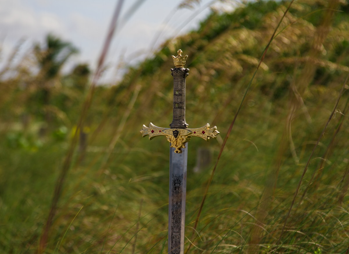 Six-Year-Old Finds Real Viking Sword on School Trip!