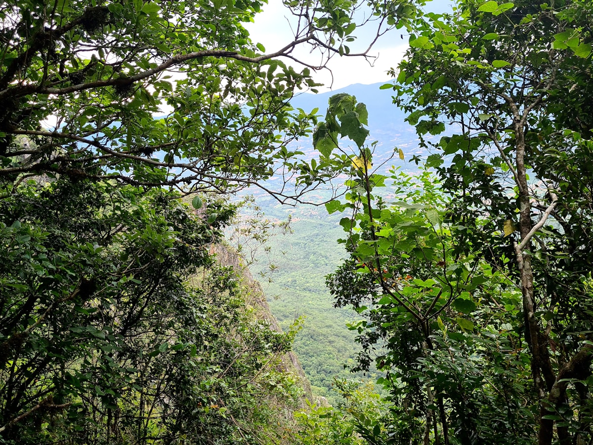 Ancient Humans Lived in Rainforests 150,000 Years Ago!