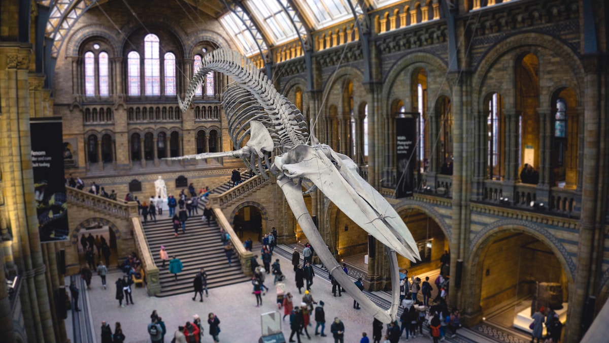 Meet Tylosaurus Rex: The 43-Foot Sea Monster That Ruled Ancient Oceans