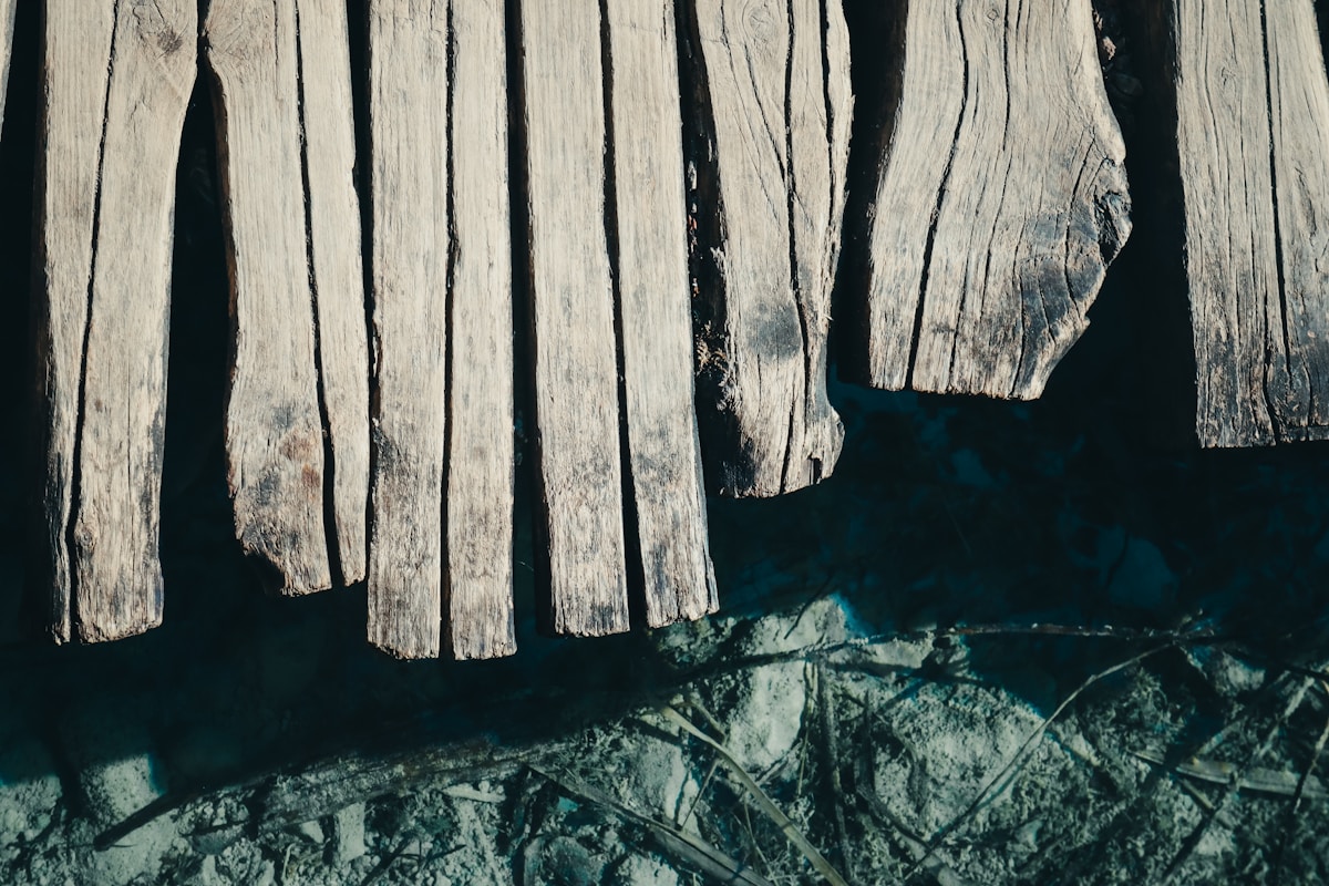 Ancient Wooden Tools Found! They're 430,000 Years Old!