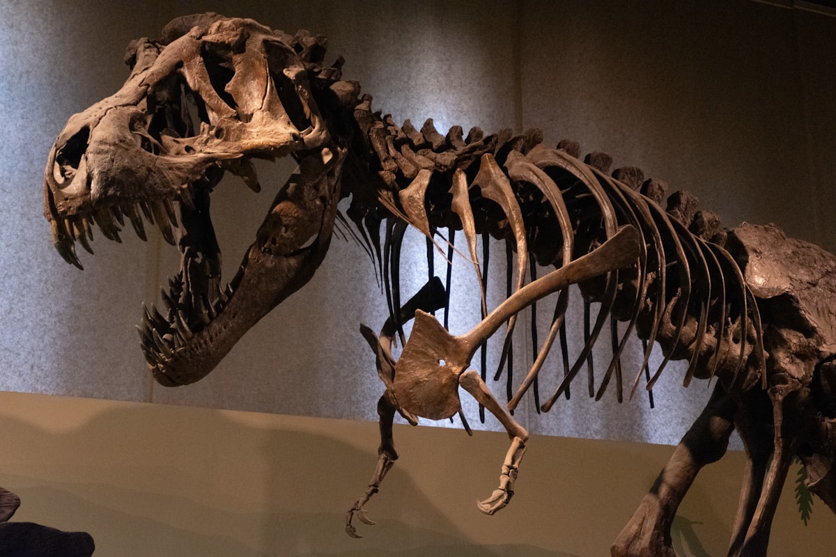 T-Rex's Tiny Arms Finally Explained After Millions of Years!