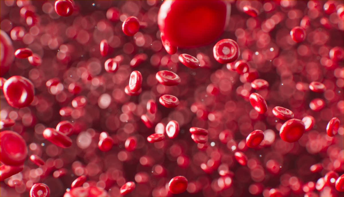 Your Blood Cells Are Ancient Time Travelers From 700 Million Years Ago
