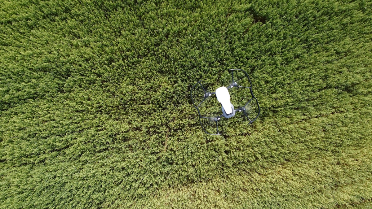 Thermal Drone Spots Chicks Hidden in Grass—And Saves Their Lives!