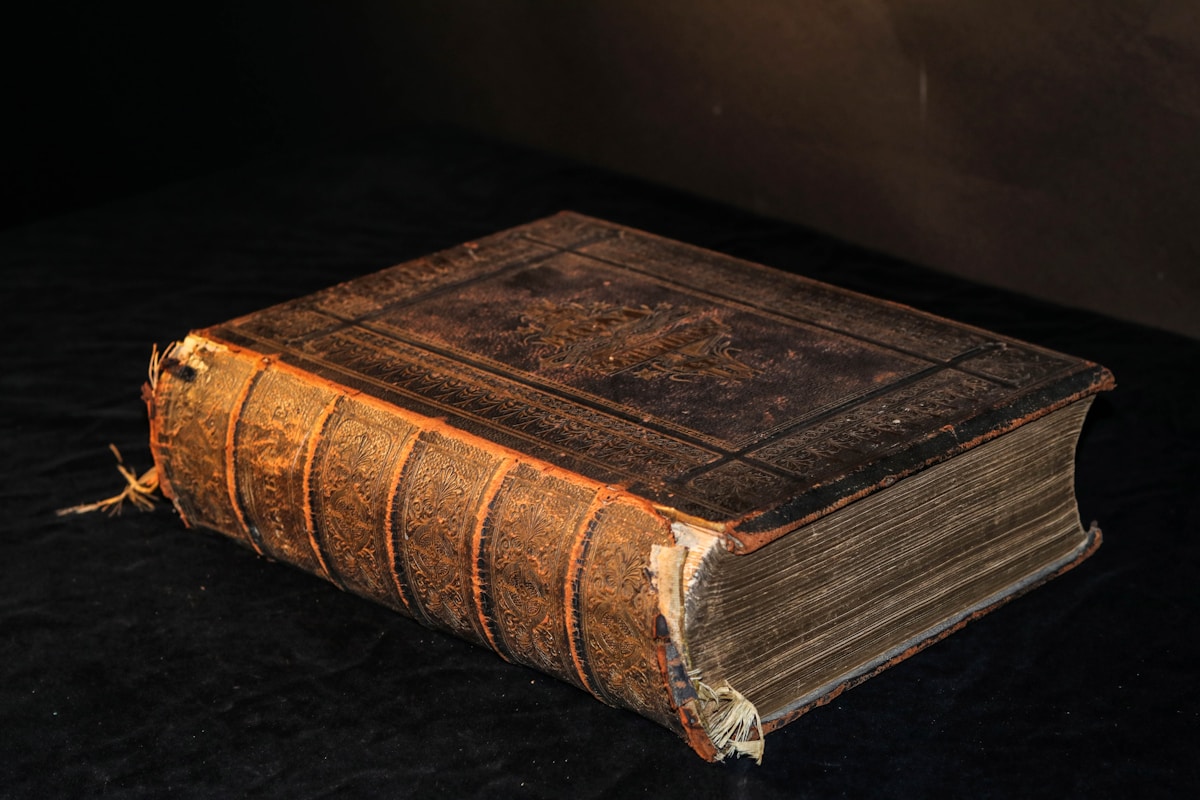 Amazing 800-Year-Old Book Found Inside an Old Toilet!