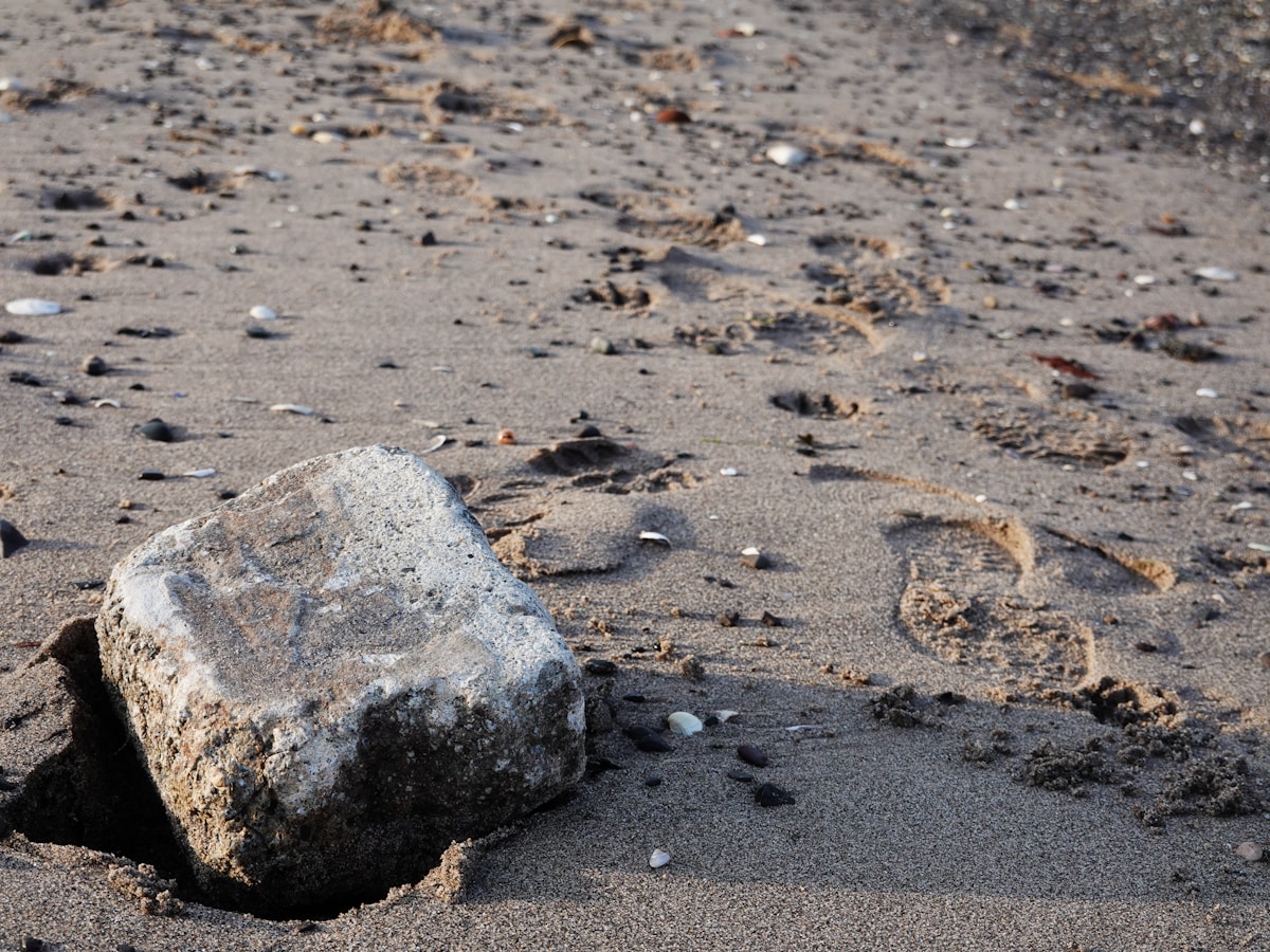 Ancient Dice Game Older Than We Thought!
