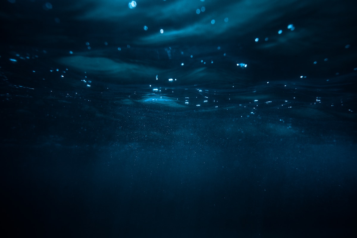 Hidden Deep in the Ocean, Creatures Feed on Squished Food from the Sky!