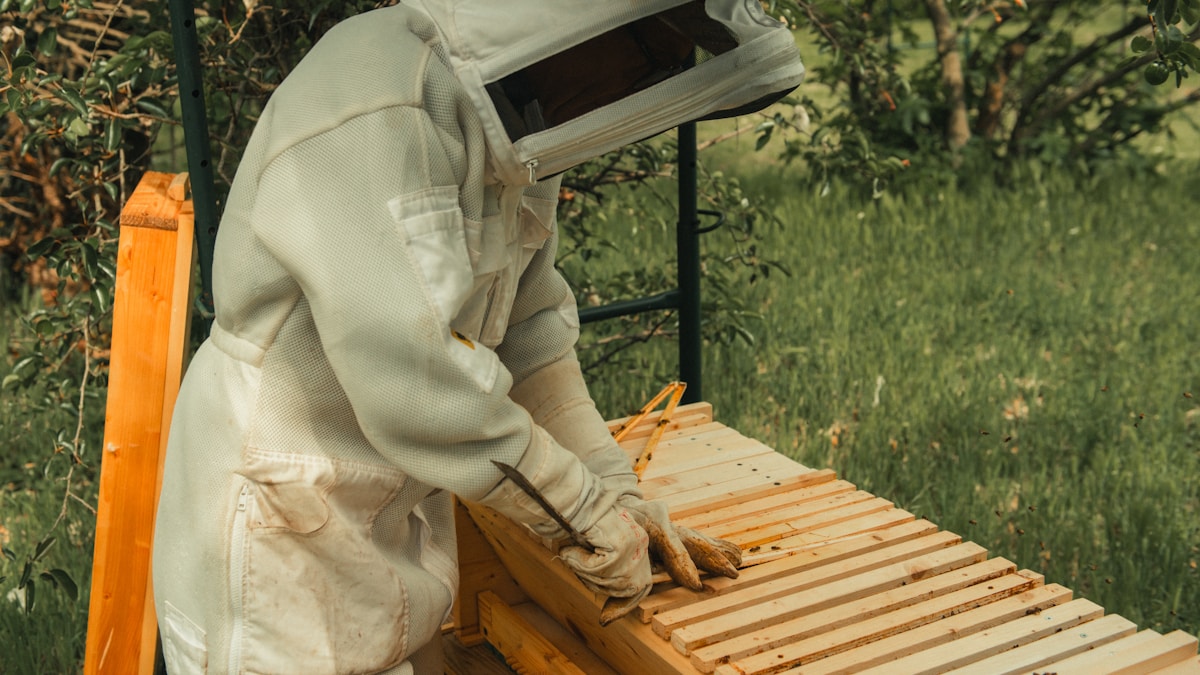 Hundreds of Young Beekeepers Buzz Into Belfast for a Huge Global Gathering!