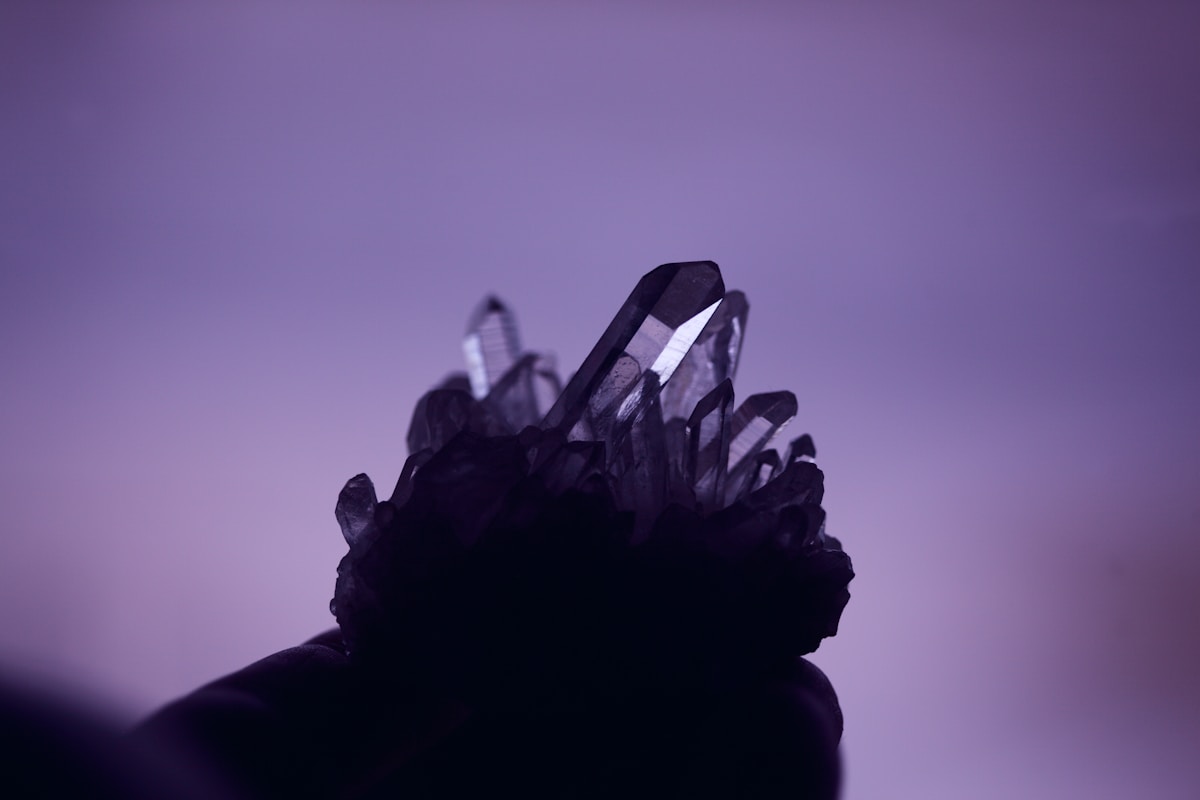 Chimpanzees Caught Loving Shiny Crystals Just Like Humans Do!