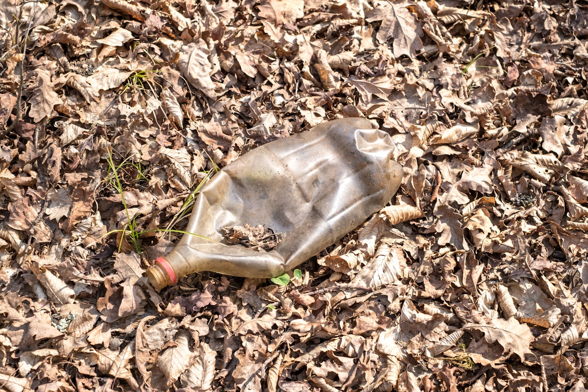 This Amazing New Living Plastic Can Self-Destruct in Just Six Days!