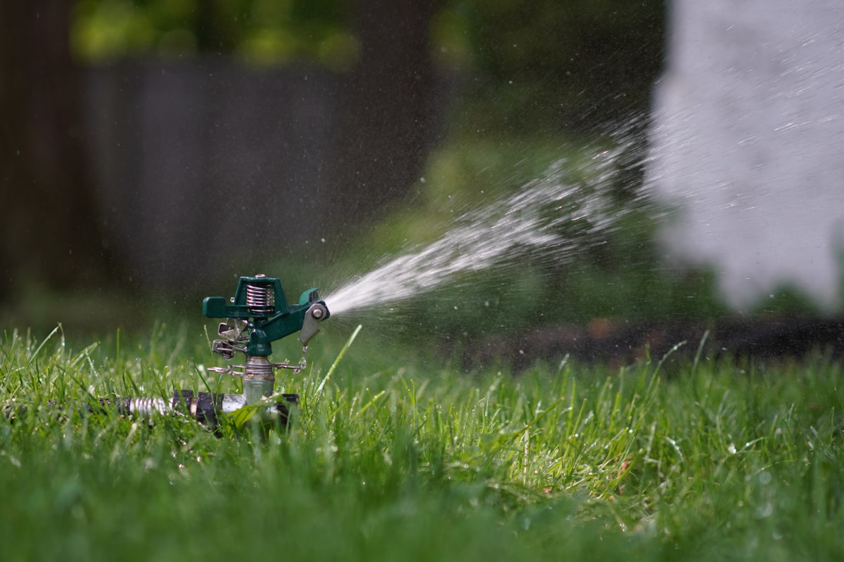 A Whimsical 'Silly Sprinkler' Just Solved a Decades-Old Science Mystery!